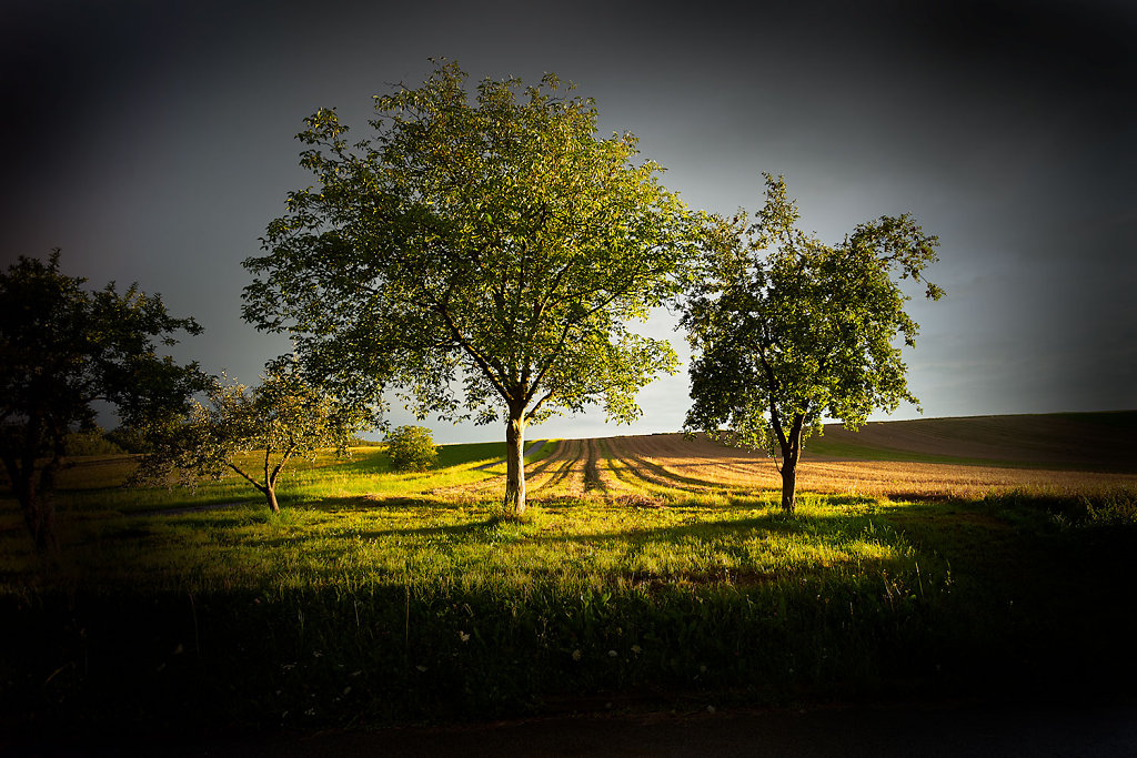 Licht auf Farben