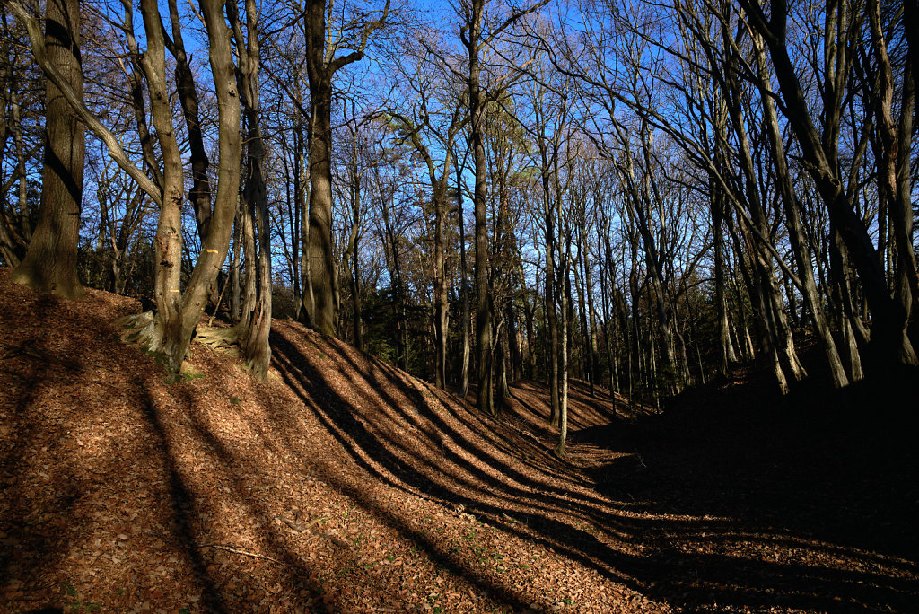 Schatten-uebers-Tal.jpg