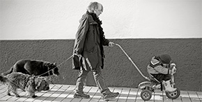 Leben